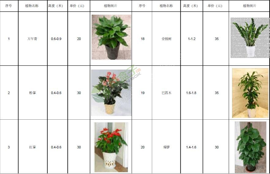 植物租賃價(jià)格明細(xì)表